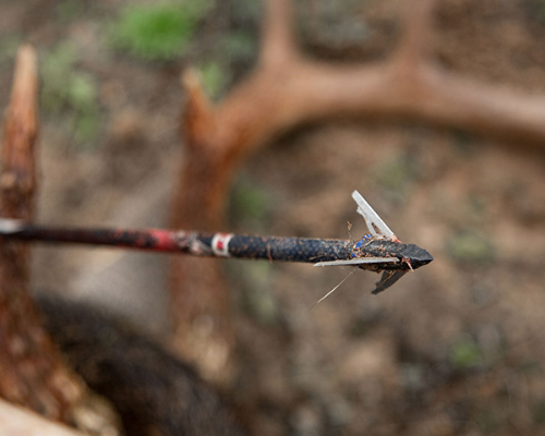 how to sharpen a Montec