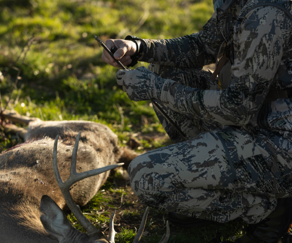 best hunting broadhead